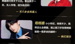 2024年娱乐吃瓜总结,吃瓜指南回顾